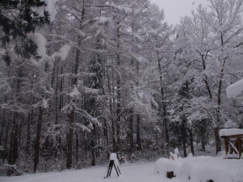 Bed and Breakfast Sunny Side Hut Hakuba Exterior foto